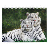 Calendrier animal 8 (Protection)