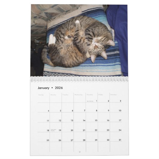 Calendrier animal adorable (Jan 2026)