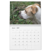 Calendrier animal adorable (Mar 2027)