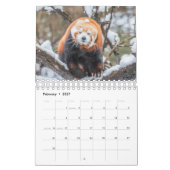 Calendrier animal amusant (Feb 2027)