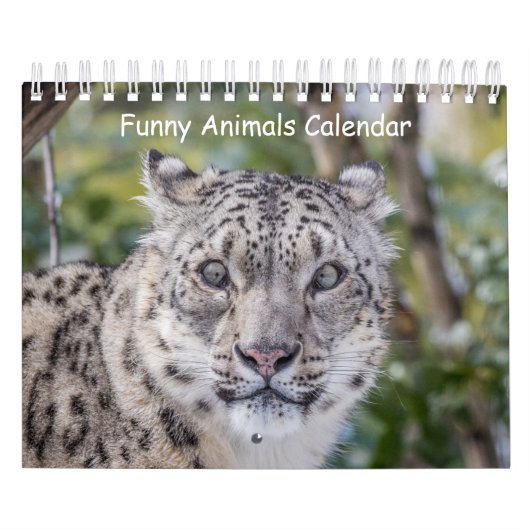 Calendrier animal amusant (Protection)