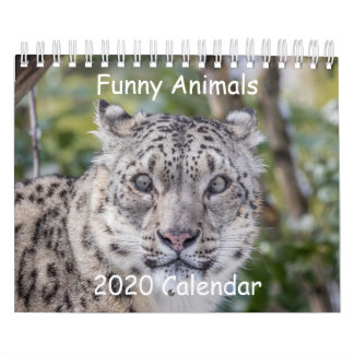 Calendrier animal amusant