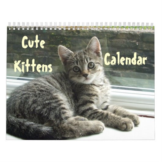 Calendrier Animal Cute Kitten Chat Peace Love Destinée (Protection)