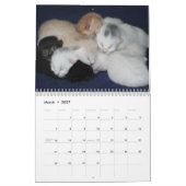 Calendrier Animal Cute Kitten Chat Peace Love Destinée (Mar 2027)