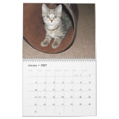 Calendrier Animal Cute Kitten Chat Peace Love Destinée (Jan 2027)