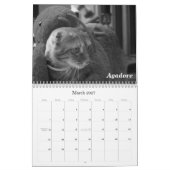 Calendrier animal de compagnie 2011 : Chats et chi (Mar 2027)