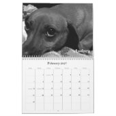Calendrier animal de compagnie 2011 : Chats et chi (Feb 2027)