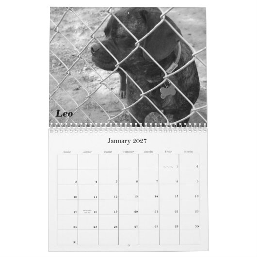 Calendrier animal de compagnie 2011 : Chats et chi (Jan 2027)