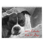 Calendrier animal de compagnie 2011 : Chats et chi (Protection)