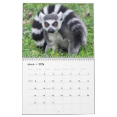 Calendrier Animal Lemur Cute Nature Zoo Destin personnalisé (Mar 2026)