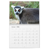 Calendrier Animal Lemur Cute Nature Zoo Destin personnalisé (Jan 2026)