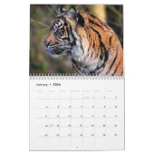 Calendrier Animal sauvage de tigre 2025 (Jan 2026)