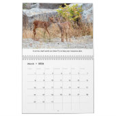 Calendrier animal sauvage inspirant (Mar 2026)