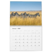Calendrier animal zèbre (Jan 2027)