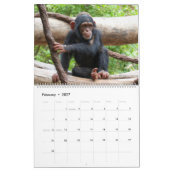 Calendrier AnimalBabies 001 (Feb 2027)
