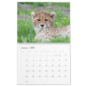 Calendrier AnimalBabies 001 (Jan 2027)