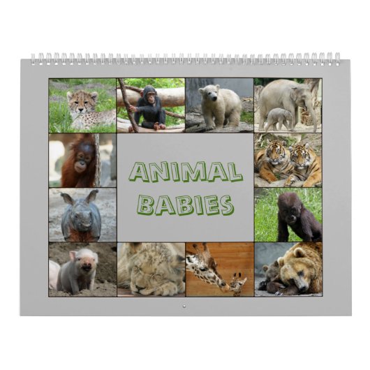 Calendrier AnimalBabies 001 (Protection)