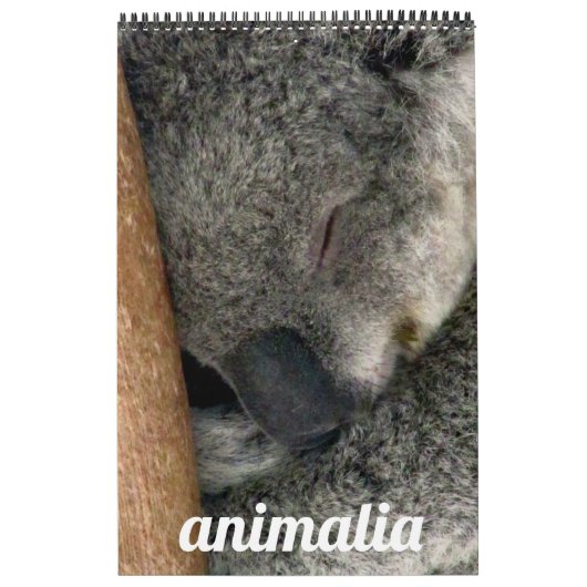 Calendrier animalia (Protection)