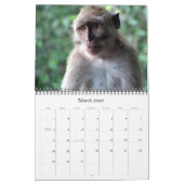 Calendrier animalia 2015 (Mar 2026)