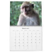 Calendrier animalia 2027 (Mar 2027)