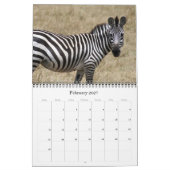 Calendrier animalia 2027 (Feb 2027)