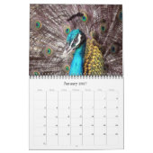 Calendrier animalia 2027 (Jan 2027)