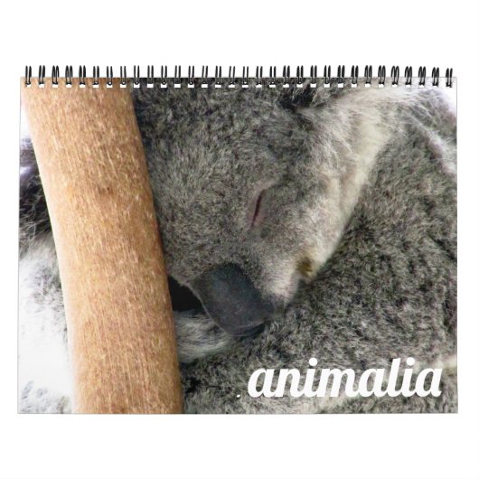 Calendrier animalia 2027 (Protection)