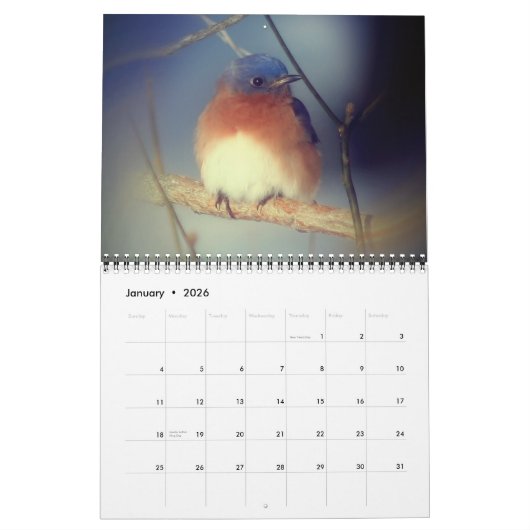 Calendrier Animals (Jan 2026)