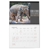 Calendrier Animals Art Calendar (Type-B) (Feb 2027)