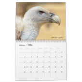 Calendrier Animal's heads 12 month calendar (Jan 2026)