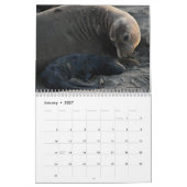 Calendrier Animaux (Jan 2027)