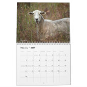 Calendrier Animaux (Feb 2027)