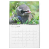 Calendrier Animaux (Feb 2027)