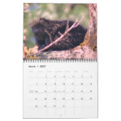 Calendrier Animaux (Mar 2027)