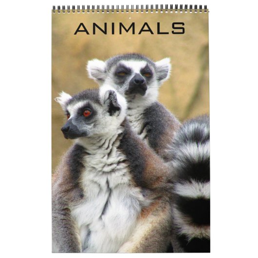 Calendrier animaux (Protection)