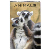 Calendrier animaux (Protection)