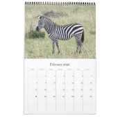 Calendrier animaux (Feb 2026)