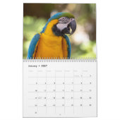 Calendrier Animaux à Gatorland 2026 (Jan 2027)