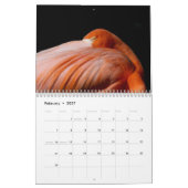 Calendrier Animaux à Gatorland 2026 (Feb 2027)