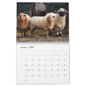 Calendrier Animaux adorables à la ferme (Jan 2027)