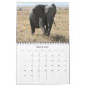 Calendrier animaux africains 2025 (Mar 2026)