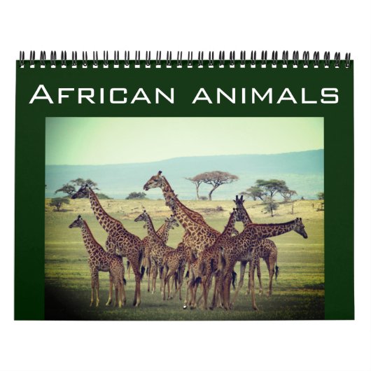 Calendrier animaux africains 2025 (Protection)