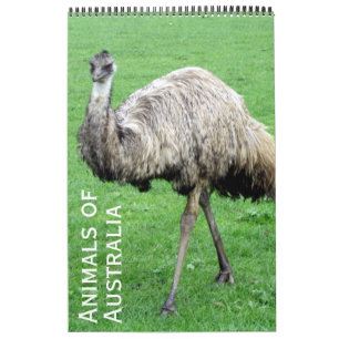 Calendrier animaux australiens