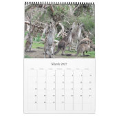 Calendrier animaux australiens (Mar 2027)
