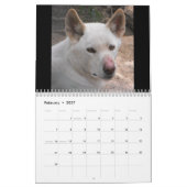 Calendrier Animaux australiens (Feb 2027)