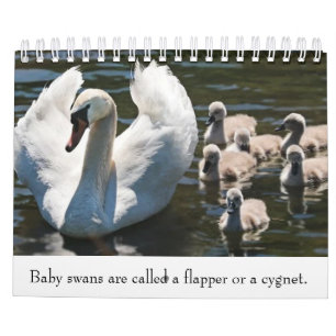 Calendrier Animaux bébé