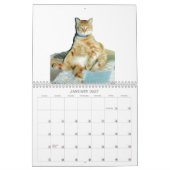 Calendrier Animaux Calander (Jan 2027)