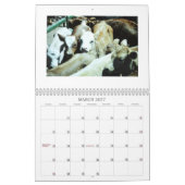 Calendrier Animaux Calander (Mar 2027)