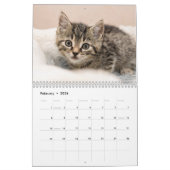 Calendrier Animaux de compagnie Chat Photos personnalisées Mo (Feb 2026)