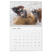 Calendrier Animaux de ferme (Jan 2027)
